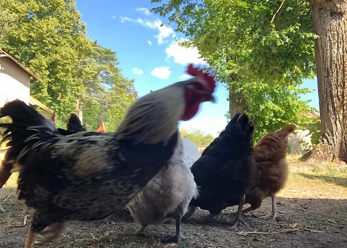 Bed & Breakfast Demeure Des Payratons